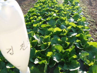 마당쇠님 농장
