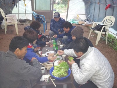 12월3일 주말농장 일기