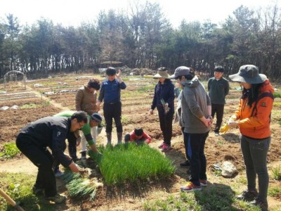 22일 농장 스케치!