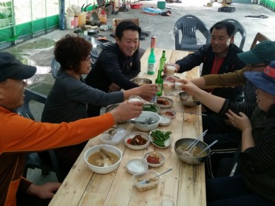 11월15일 초록농원스케치