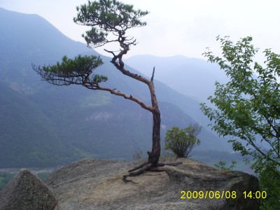 도락산