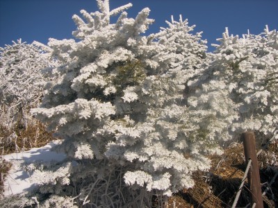 소백산