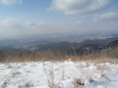 하산주..