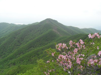 괘관산