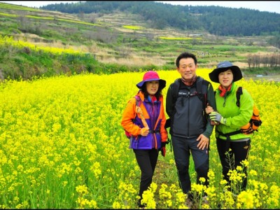 청산도- 6