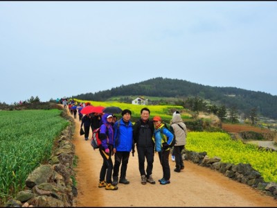 청산도- 7