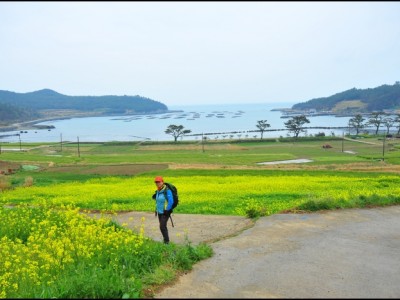 청산도- 13