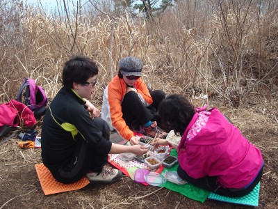 비진도 산행
