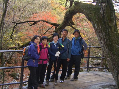 치악산 11...늦게 올려 죄송합니다..