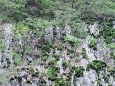 영덕 동대산