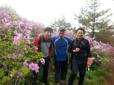 통산 5월 산햄 스케치!~