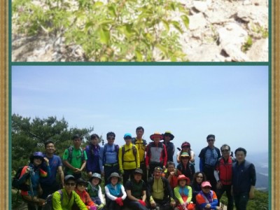 황매산 모산제 산행