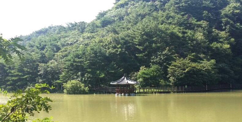송정박상진호수공원 전경